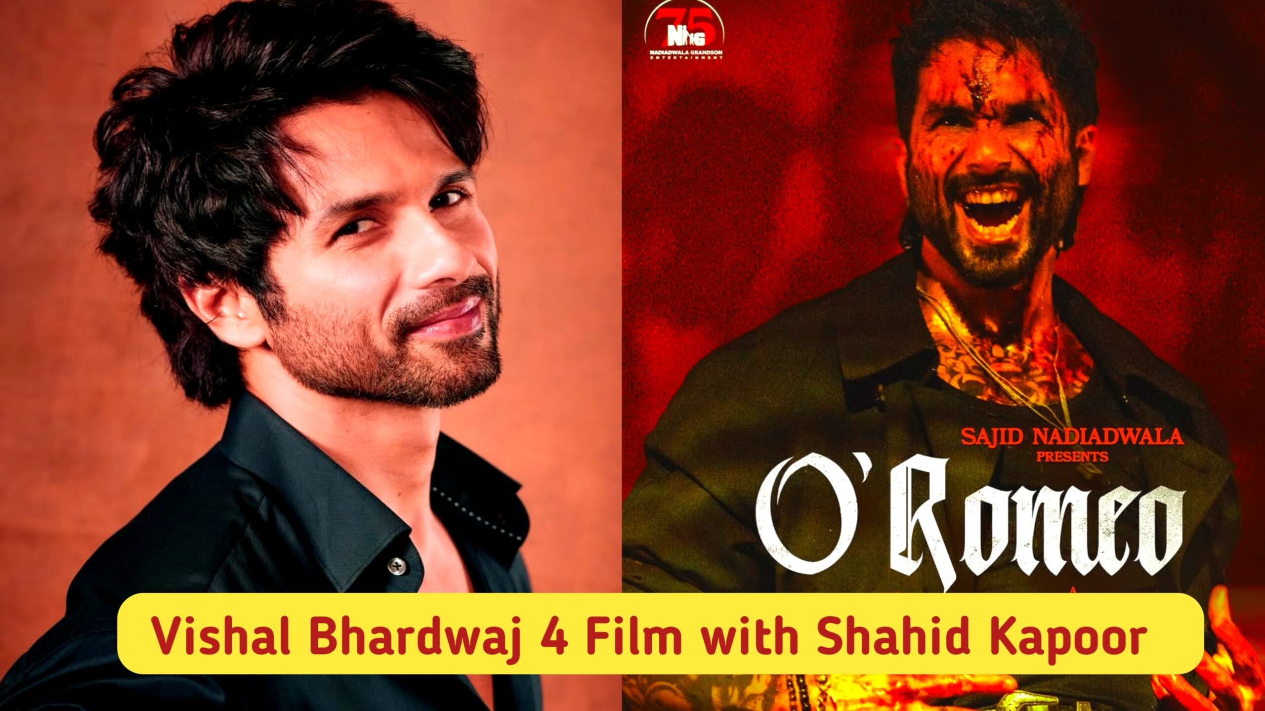 O Romeo Movie Poster starring Shahid Kapoor and Triptii Dimri